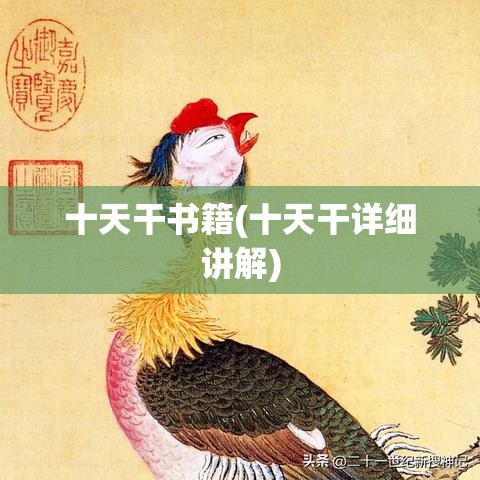 十天干书籍(十天干详细讲解)
