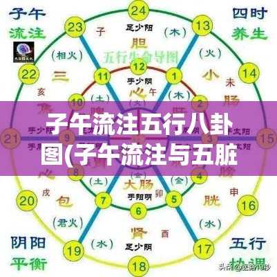 子午流注五行八卦图(子午流注与五脏合图)