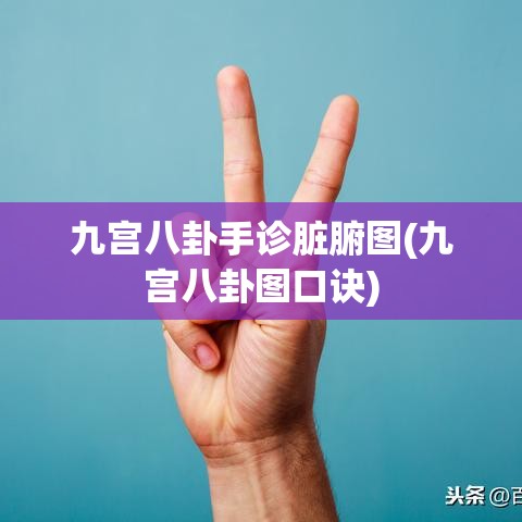 九宫八卦手诊脏腑图(九宫八卦图口诀)