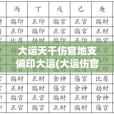 大运天干伤官地支偏印大运(大运伤官坐偏印)