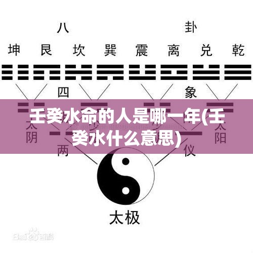 壬癸水命的人是哪一年(壬癸水什么意思)
