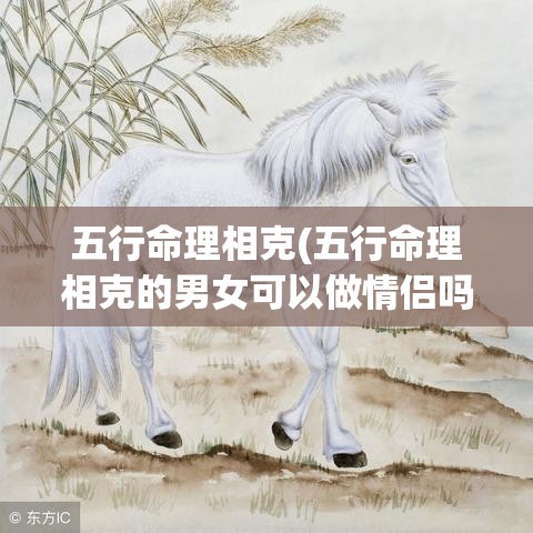 五行命理相克(五行命理相克的男女可以做情侣吗)