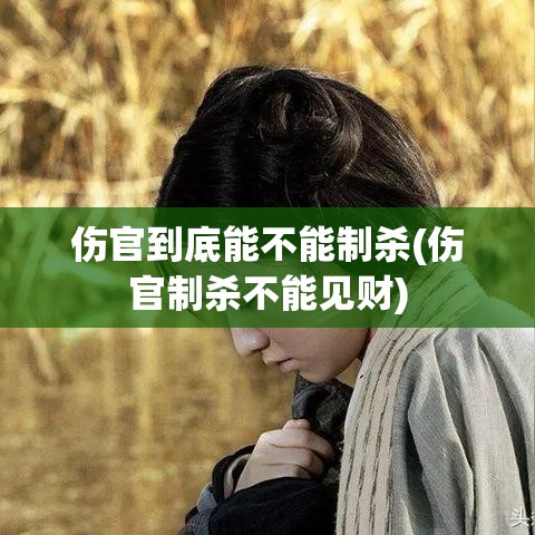 伤官到底能不能制杀(伤官制杀不能见财)