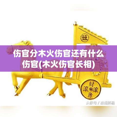 伤官分木火伤官还有什么伤官(木火伤官长相)