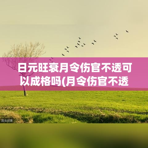 日元旺衰月令伤官不透可以成格吗(月令伤官不透干成格吗)