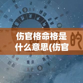 伤官格命格是什么意思(伤官格命运)