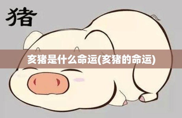 亥猪是什么命运(亥猪的命运)