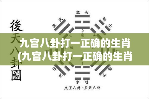 九宫八卦打一正确的生肖(九宫八卦打一正确的生肖是什么)