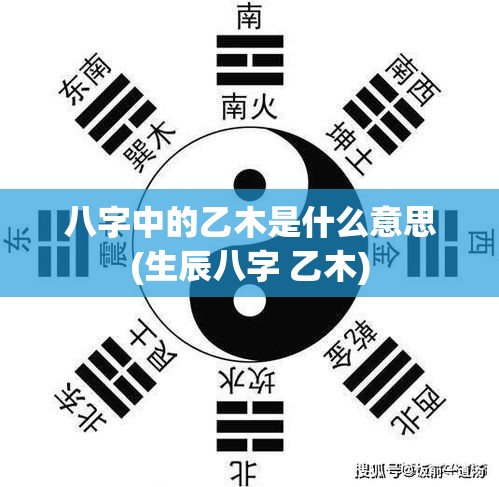 八字中的乙木是什么意思(生辰八字 乙木)