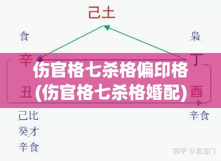 伤官格七杀格偏印格(伤官格七杀格婚配)