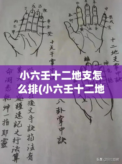 小六壬十二地支怎么排(小六壬十二地支手掌图)