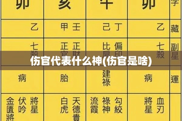 伤官代表什么神(伤官是啥)