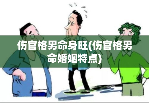 伤官格男命身旺(伤官格男命婚姻特点)