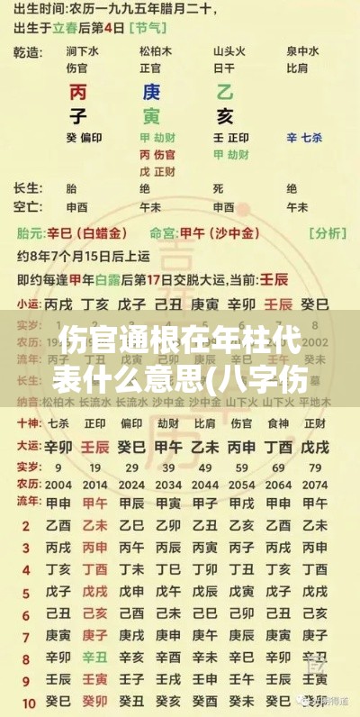 伤官通根在年柱代表什么意思(八字伤官通根)