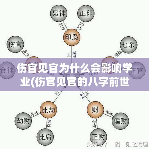 伤官见官为什么会影响学业(伤官见官的八字前世做错了什么)