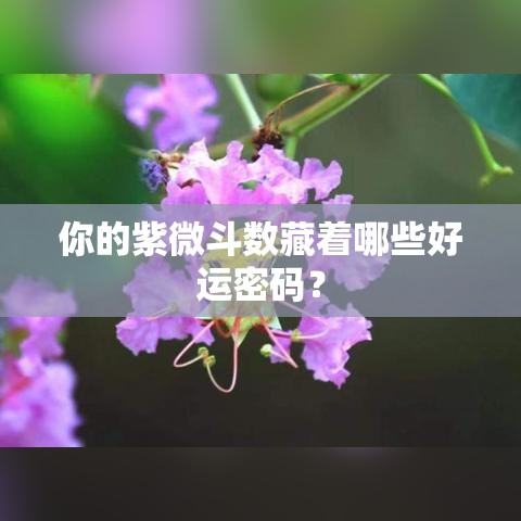 你的紫微斗数藏着哪些好运密码？