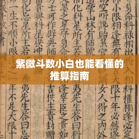 紫微斗数小白也能看懂的推算指南
