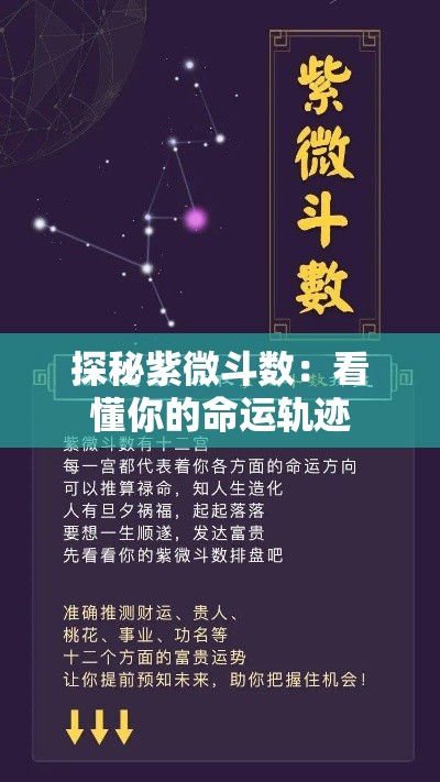探秘紫微斗数：看懂你的命运轨迹