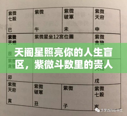 天阁星照亮你的人生盲区，紫微斗数里的贵人指引