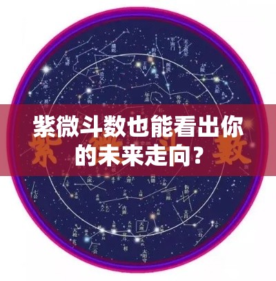 紫微斗数也能看出你的未来走向？