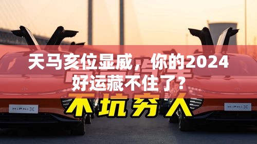天马亥位显威，你的2024好运藏不住了？