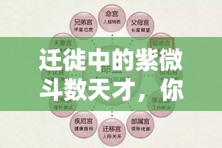 迁徙中的紫微斗数天才，你的命运在悄悄改变