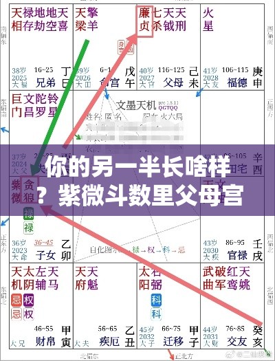 你的另一半长啥样？紫微斗数里父母宫有答案