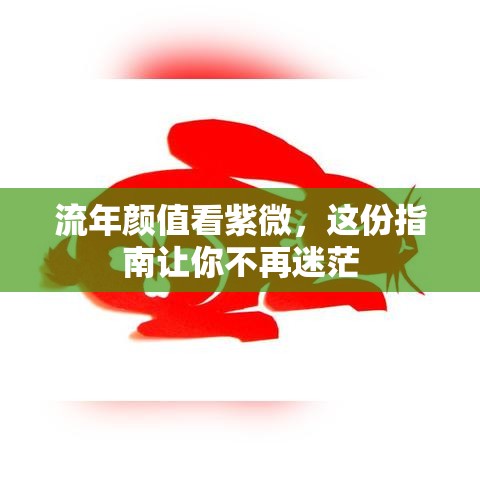 流年颜值看紫微，这份指南让你不再迷茫