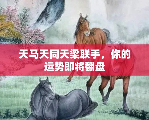 天马天同天梁联手，你的运势即将翻盘
