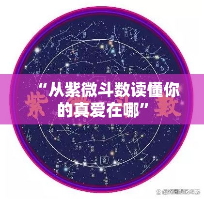 “从紫微斗数读懂你的真爱在哪”