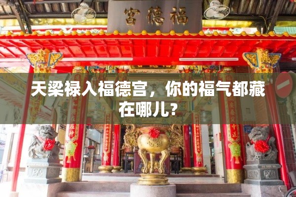 天梁禄入福德宫，你的福气都藏在哪儿？