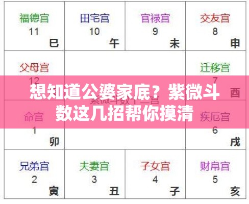 想知道公婆家底？紫微斗数这几招帮你摸清