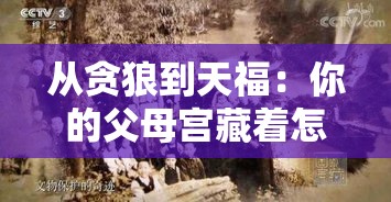 从贪狼到天福：你的父母宫藏着怎样的前世今生？