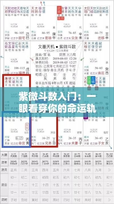 紫微斗数入门：一眼看穿你的命运轨迹