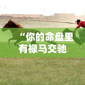 “你的命盘里有禄马交驰吗？这样查才准”
