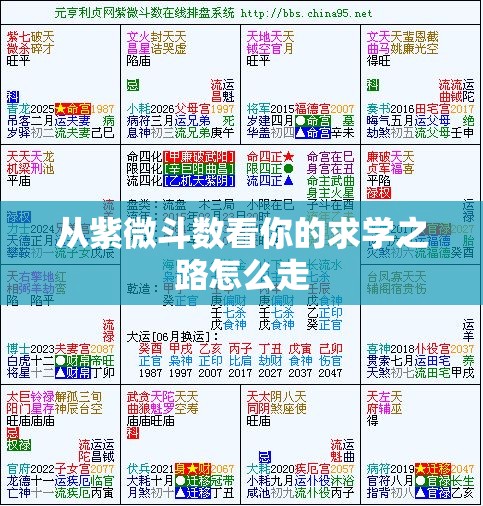从紫微斗数看你的求学之路怎么走