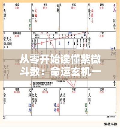 从零开始读懂紫微斗数：命运玄机一图掌握