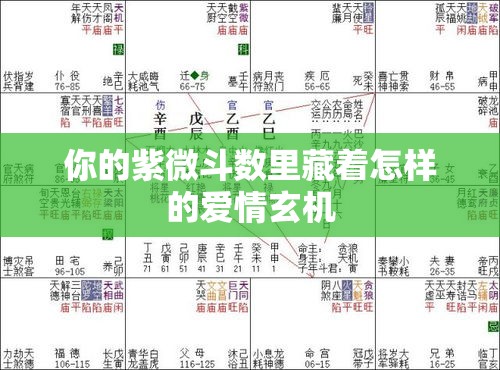 你的紫微斗数里藏着怎样的爱情玄机