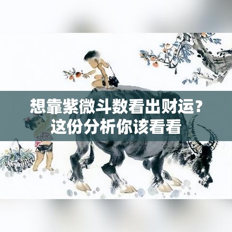 想靠紫微斗数看出财运？这份分析你该看看