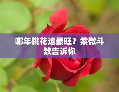 哪年桃花运最旺？紫微斗数告诉你