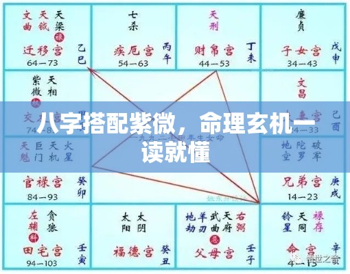 八字搭配紫微，命理玄机一读就懂