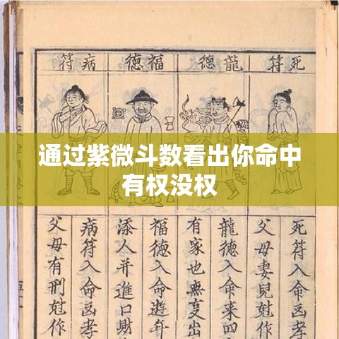 通过紫微斗数看出你命中有权没权