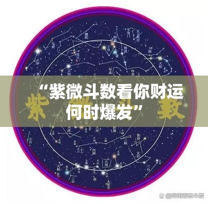 “紫微斗数看你财运何时爆发”
