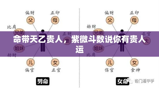 命带天乙贵人，紫微斗数说你有贵人运