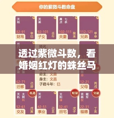透过紫微斗数，看婚姻红灯的蛛丝马迹