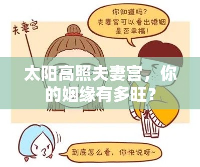 太阳高照夫妻宫，你的姻缘有多旺？