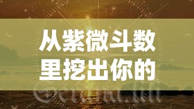 从紫微斗数里挖出你的前世