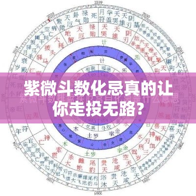 紫微斗数化忌真的让你走投无路？
