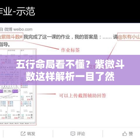 五行命局看不懂？紫微斗数这样解析一目了然