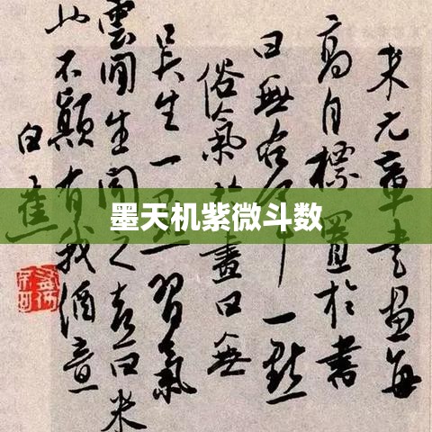墨天机紫微斗数